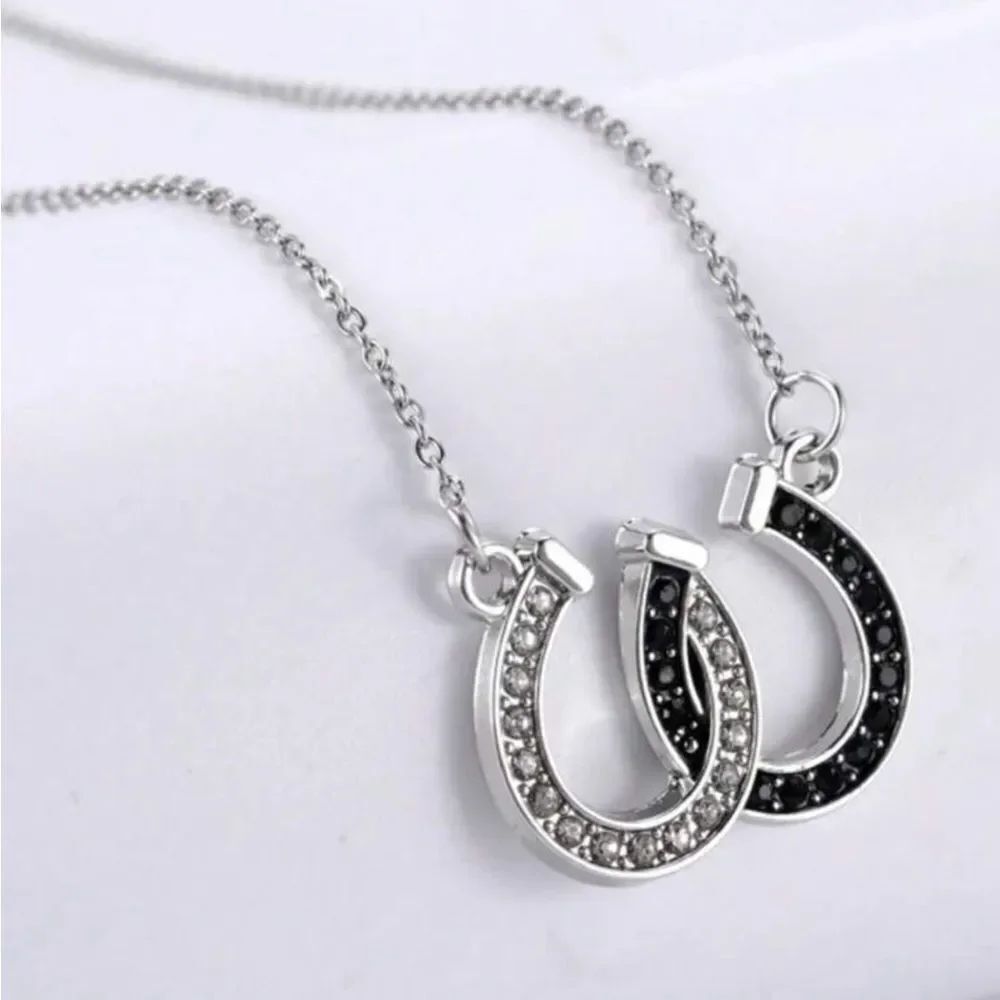 Elegant Silver and Black Horseshoe Necklace
